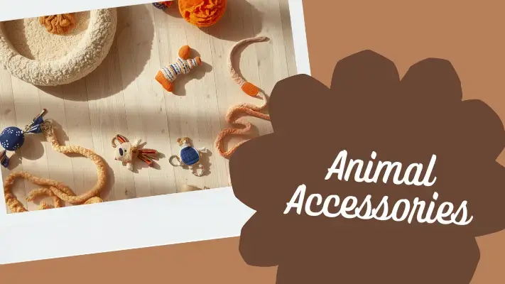 Accessoires pour animaux : panier, jouets, laisse